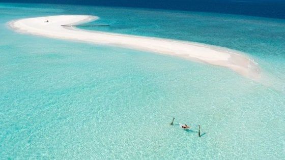 "Cercasi libraio alle Maldive per lavorare a piedi nudi": l'annuncio da sogno