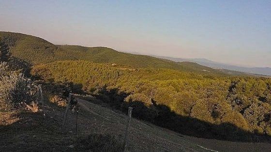 La Riserva Unesco del Monte Peglia (Umbria) lancia un centro studi sulle emergenze climatiche e la medicina ambientale
