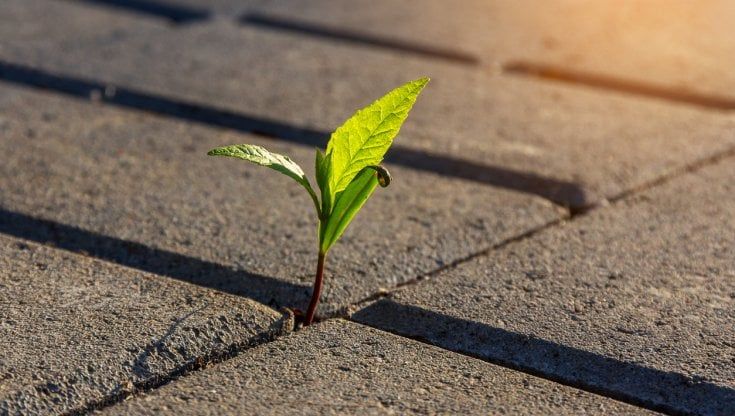 Dalle grandi crisi nascono nuove opportunità
