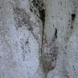 Colosseo, sulle arcate riaffiorano bagliori di rosso, la direttrice Rea "Quei numeri colorati, scoperta eccezionale"