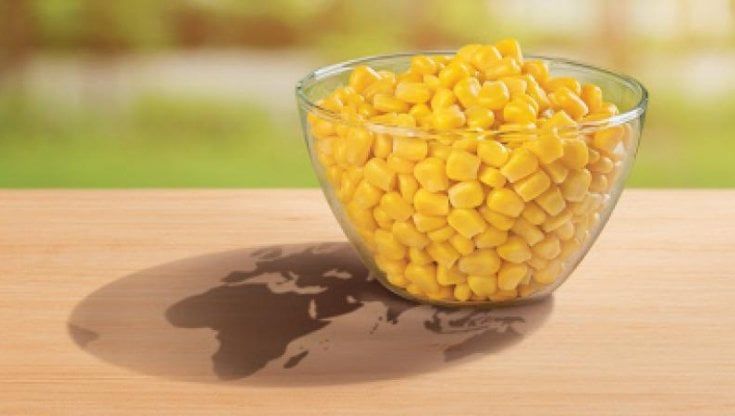 Bonduelle, il nuovo packaging riduce l’utilizzo di plastica di 40 tonnellate all’anno
