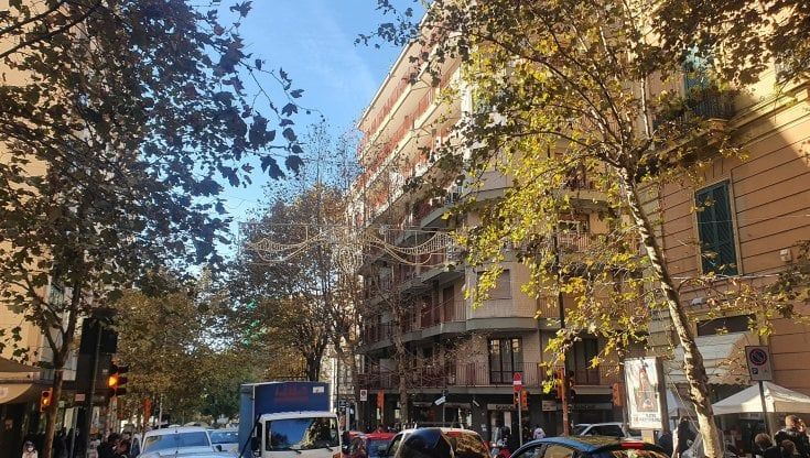 Napoli, nuovo caso luminarie: il Vomero resta al buio per la potatura degli alberi