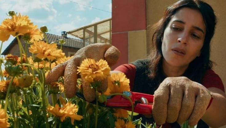 Festa del cinema di Roma, dal film “Cambiare l’acqua ai fiori” al doc sulla storia della Gialappa