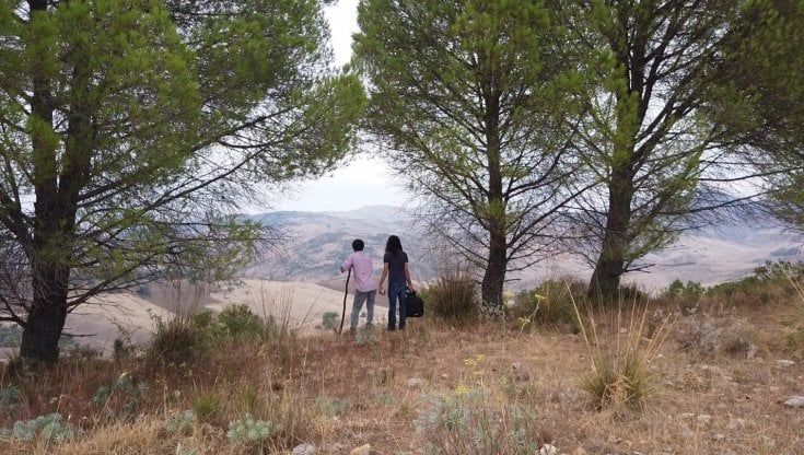 Scienziati che dibattono, un film di Galegati in diretta dalla Gam 