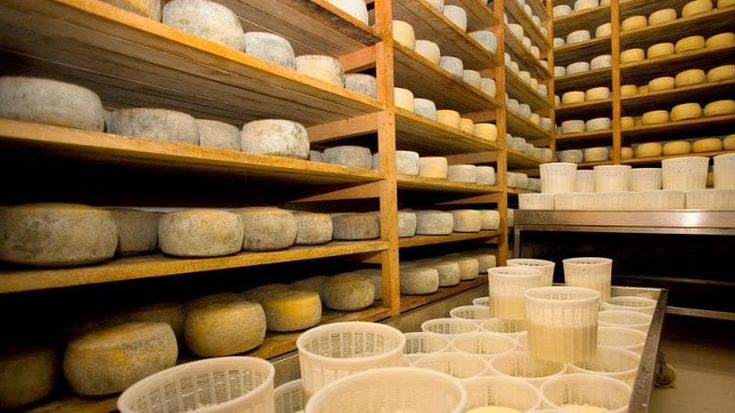 Formaggi, Italia terza produttrice in Europa dopo Germania e Francia