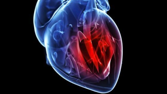 Cure anticancro, salute del cuore a rischio per un paziente su tre