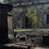 Minacce e bellezze a fuoco, con i predoni del turismo la Selva di Fasano diventa oscura