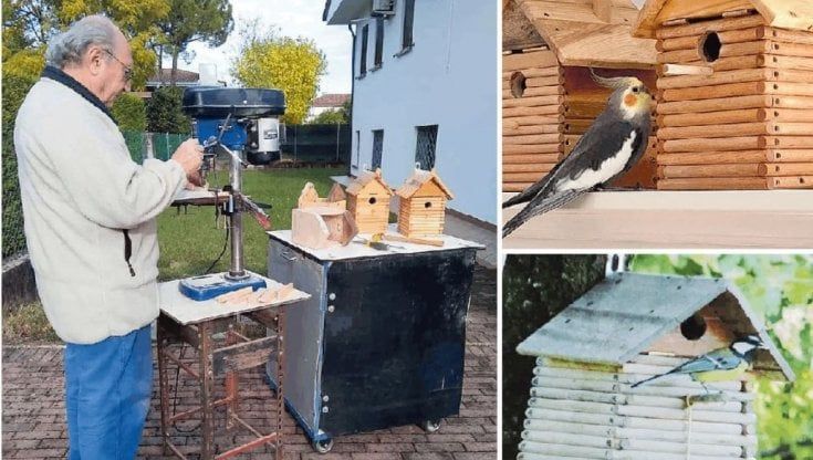  Ermes, pensionato e architetto degli uccellini: "In sette anni ho costruito 500 casette per salvarli dal freddo"