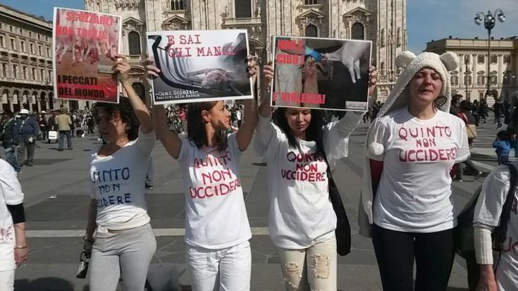 Duomo di Milano, blitz animalista durante la Via crucis