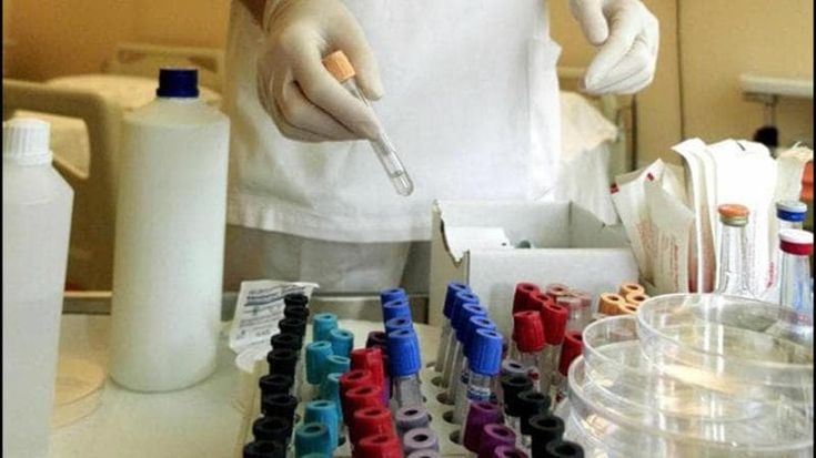 Hantavirus, l’infettivologo: “L’incubazione è lenta, per questo è rischioso”