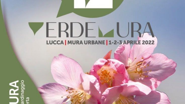 Verdemura, a Lucca la mostra green tra rose di Versailles e ciliegi in fiore