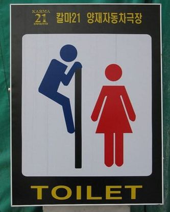 Toilette, segui il cartello: i più strani finiscono online