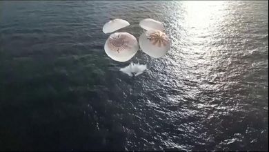 Il rientro della Crew-12 dalla Iss: lo splashdown nell'Oceano e l'emozione dell'uscita dalla capsula
