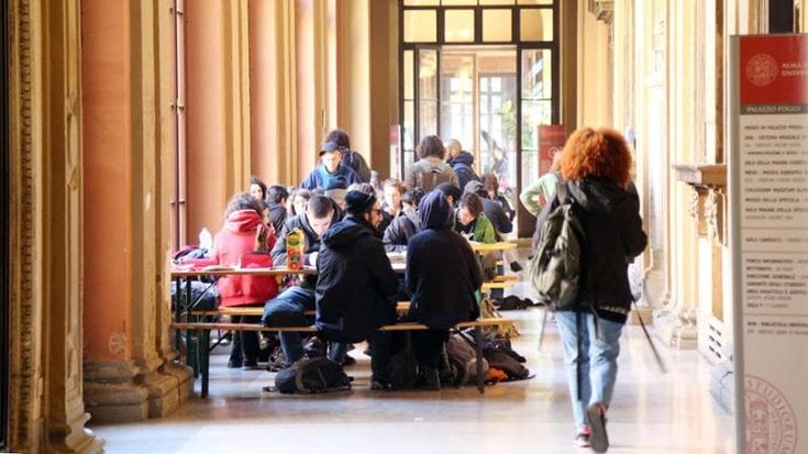 Alma Mater, tutor e psicologi per gli studenti che non danno più esami. “Il 40% ha riaperto i libri”