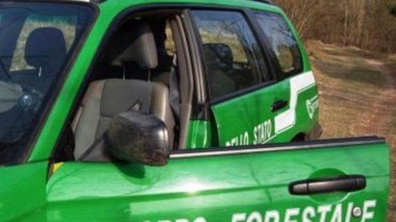 Costruisce strada in montagna sottoposta vincolo, denunciato