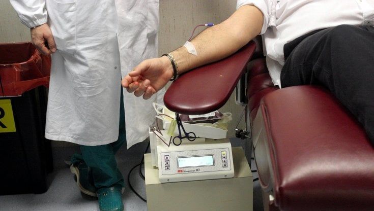 Bari, giovedì 30 raccolta di sangue dell'Avis a parco 2 Giugno: "Una donazione sotto l'albero"