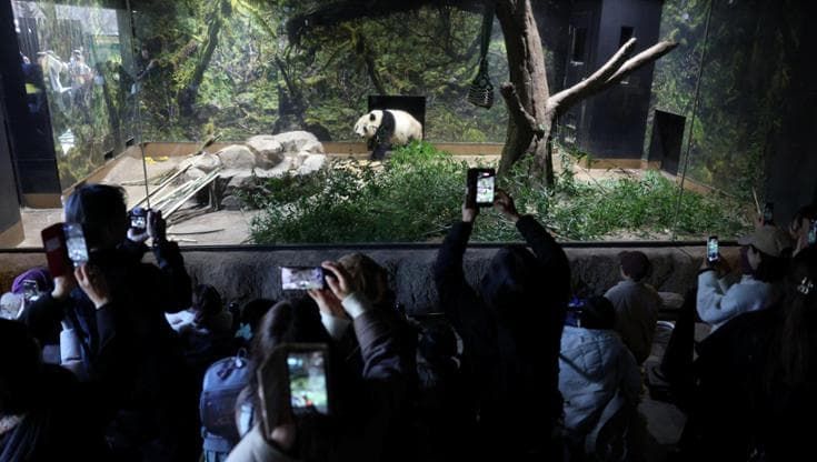 Tokyo: i gemelli tornano in Cina, è la fine della "diplomazia dei panda"