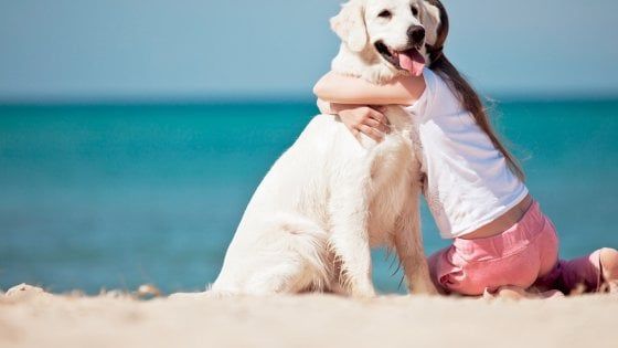 In vacanza con gli amici a quattro zampe
