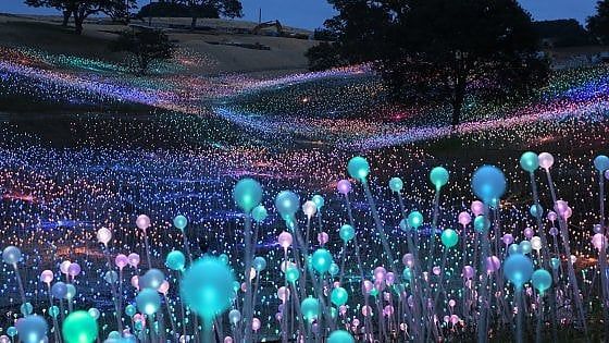 Bruce Munro replica: il Campo di Luce illumina anche la Carolina del Sud