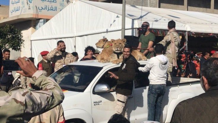 Libia, i sette fratelli che hanno terrorizzato una città con stragi e leoni