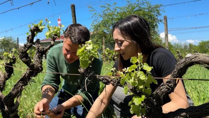 In vigna con Carlo Noro: "Tra ulivi e vigne vecchie vi raccontiamo il nostro Lazio"