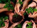 La Giornata Mondiale dell'Ambiente contro il traffico di natura