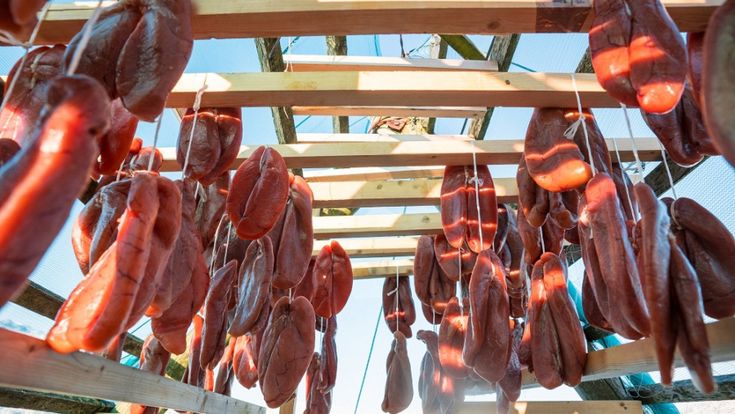 La bottarga boreale