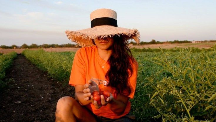 Salento, un orto nel parco archeologico: "Ci diamo all'agricoltura per pagare gli scavi"