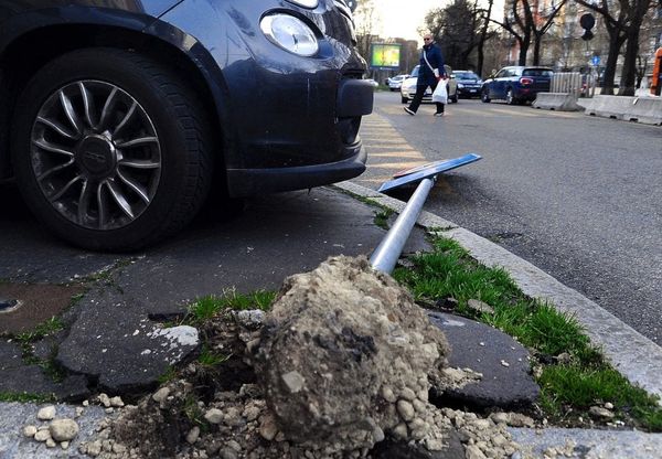 Maltempo, dopo le raffiche di vento forte a Milano si contano i danni