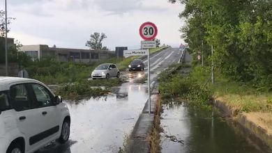 Nubifragio su Brandizzo: strade allagate e alberi caduti