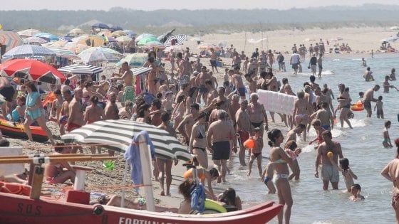 Sulla costa pugliese torna l'alga tossica: bollino rosso per Giovinazzo e Torre Canne