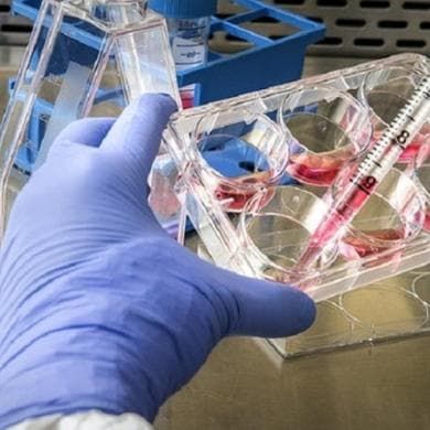 La corsa al vaccino nella nuova Guerra Fredda Usa-Cina-Russia