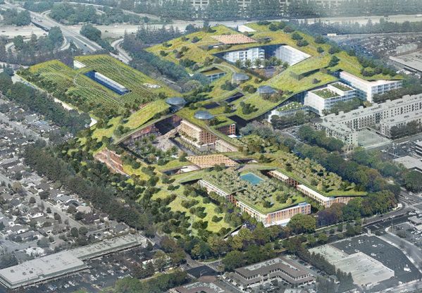 Nella Silicon Valley il più grande tetto verde al mondo: 30 acri di prati, orti e frutteti