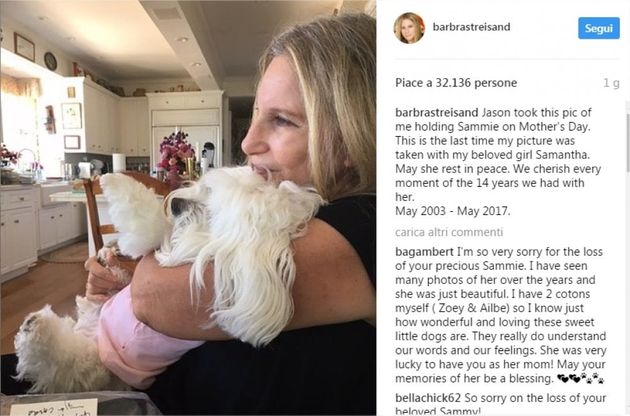 Il dolore di Barbra Streisand per la morte del cane Samantha: "Se ne va dopo 14 anni insieme"