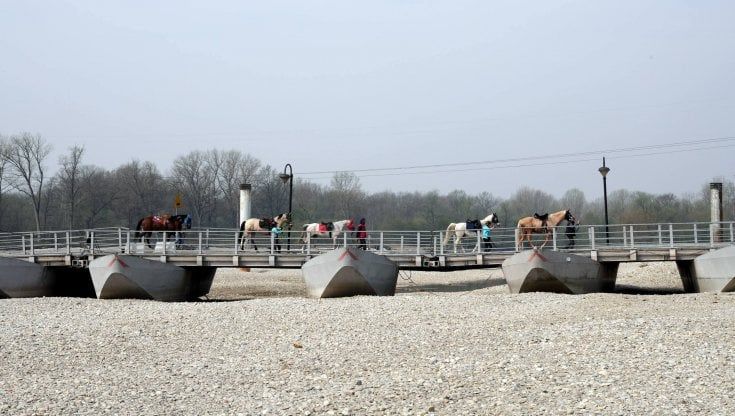 Caro energia e siccità, l'allarme degli agricoltori lombardi: "Il 50% delle imprese rischia di affondare"