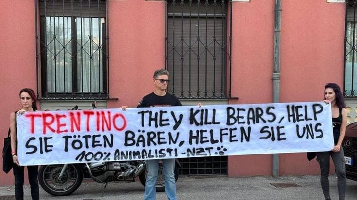 Protesta animalisti a Venezia. L’esperto: “Uccidere gli orsi è una decisione estrema ma va messa in conto per evitare situazioni rischiose”