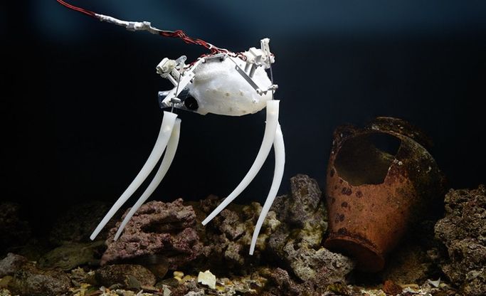 Pesci, piante e bruchi robot: a Livorno la sfida tra gli "androidi soffici"