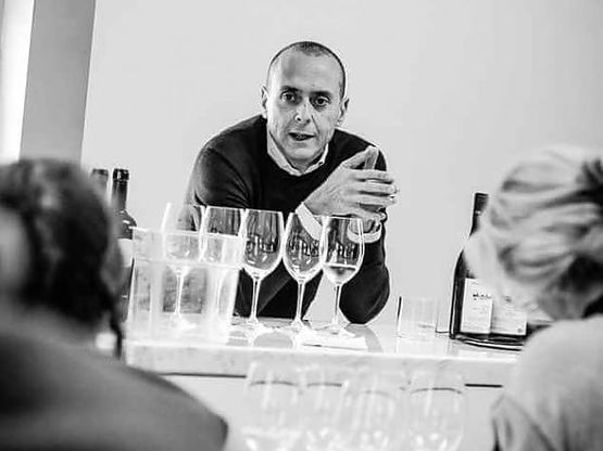 Vino vegano, l'Abruzzo fa scuola