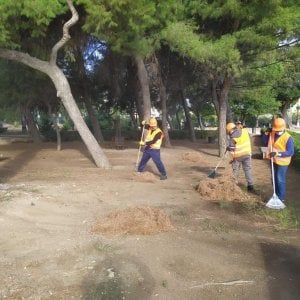 Palermo, per il forte vento chiuse ville e giardini comunali