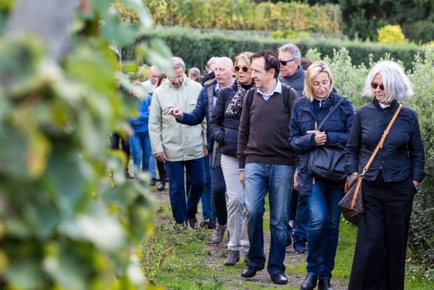 Ischia Vintage, nel brindisi all’autunno il pesce si abbina al vino rosso