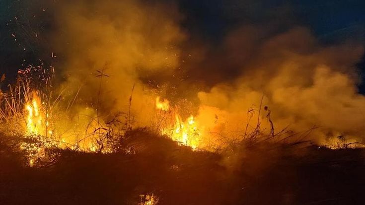 Incendio a Torre Guaceto: distrutti 300 mq di oasi. Il Consorzio: “Probabile l’origine dolosa”