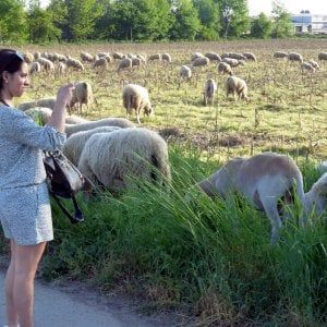 L'assicurazione diventa "instant": brevi polizze per le gite in montagna