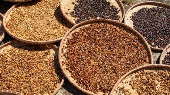Vietnam: benvenuti nel paese del caffè (e dei paradossi)