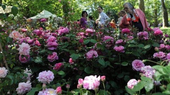 Giardini&Terrazzi: torna a Bologna la rassegna per chi ha il pollice verde