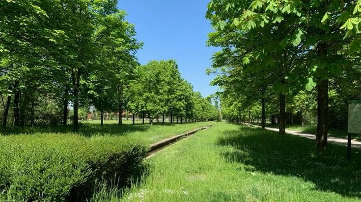 Smartwatch, analisi del sangue e passeggiate: il Parco Nord diventa un laboratorio per la salute
