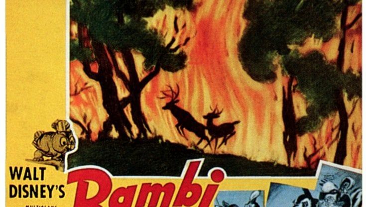 Non è Disney la vera storia di Bambi