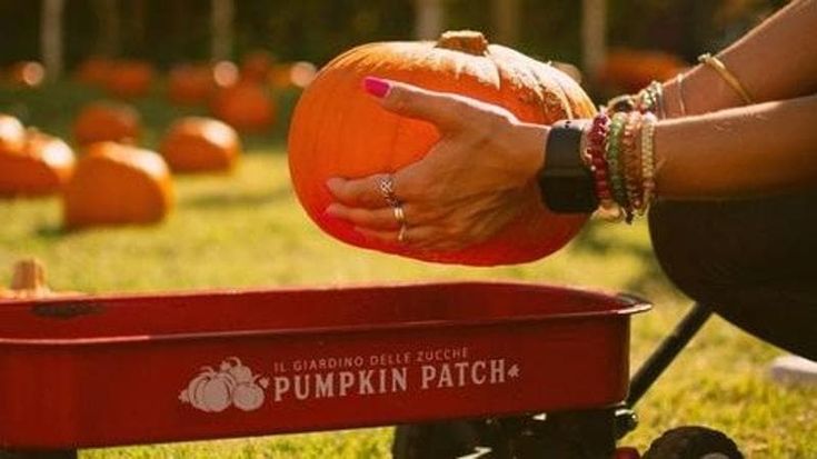 Halloween tra campi di zucche, zombie e streghette: ecco cosa fare con i bambini