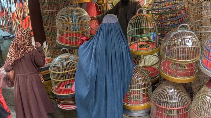 Io, nella gabbia afghana