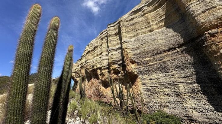 Serra da Capivara, tra canyon e pitture rupestri il Brasile come non te lo aspetti