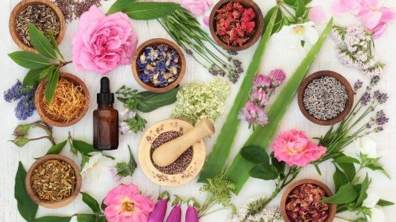 Attenti alle erbe: anche le più innocue possono interferire con i farmaci